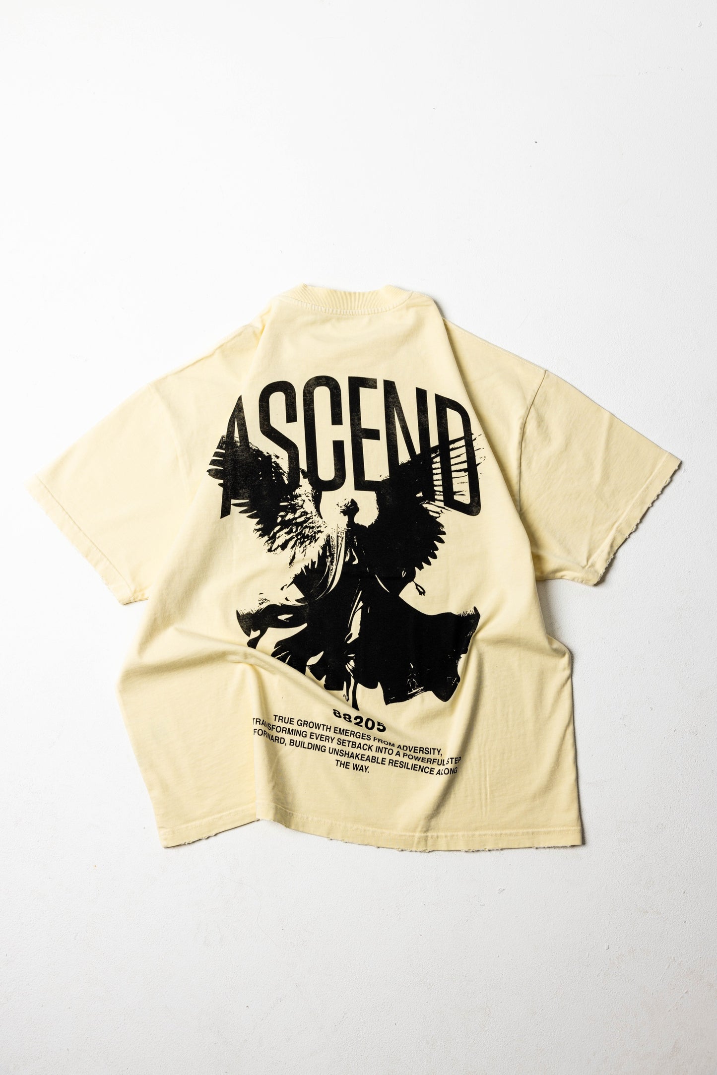 Premium Ascend T-Shirt